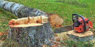 Best Firewood Processing and Delivery  in Stanfield, OR