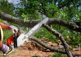 Best Utility Line Clearance  in Stanfield, OR