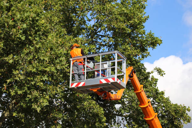 Best Seasonal Cleanup (Spring/Fall)  in Stanfield, OR